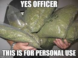 memes cannabis - Yes Officer This Is For Personal Use