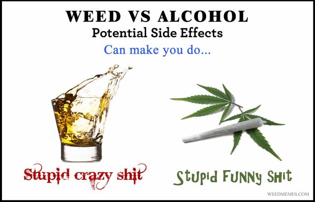 alcohol and weed memes - Weed Vs Alcohol Potential Side Effects Can make you do... Stupid crazy shit stupid Funny Shit Weedmemes.Com