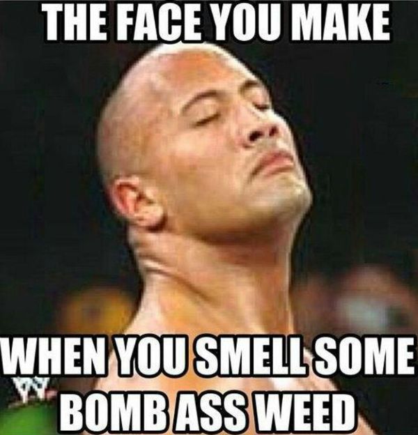 disneyland park, sleeping beauty's castle - The Face You Make When You Smell Some Bombass Weed