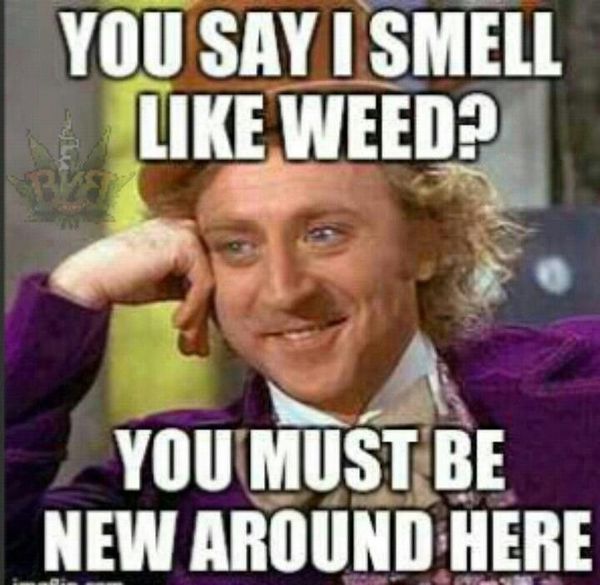 carbon emission meme - You Say I Smell Weed? You Must Be New Around Here