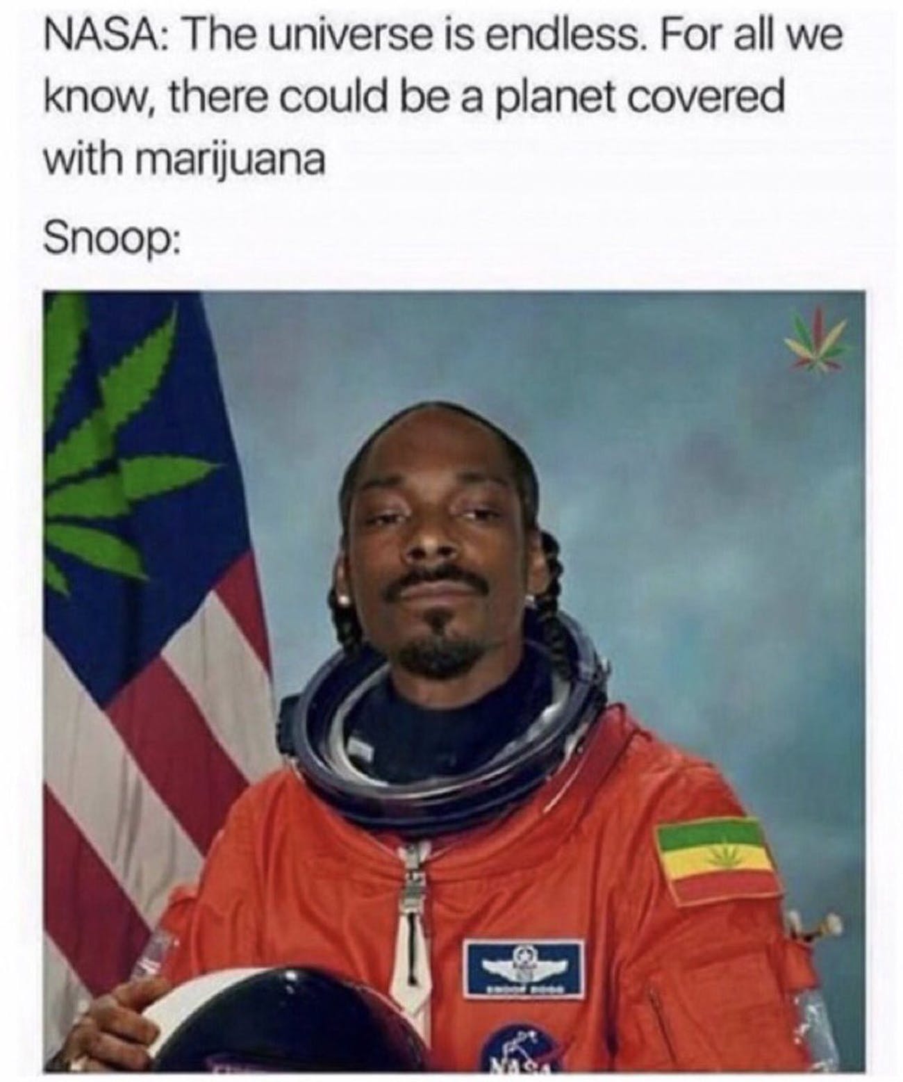 snoop memes - Nasa The universe is endless. For all we know, there could be a planet covered with marijuana Snoop
