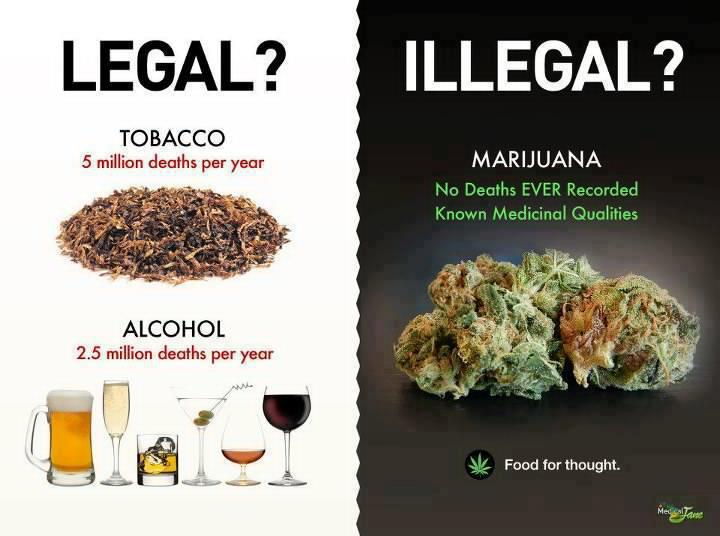 marijuana legal or illegal - Legal? Illegal? Tobacco 5 million deaths per year Marijuana No Deaths Ever Recorded Known Medicinal Qualities Alcohol 2.5 million deaths per year Food for thought. Mestane