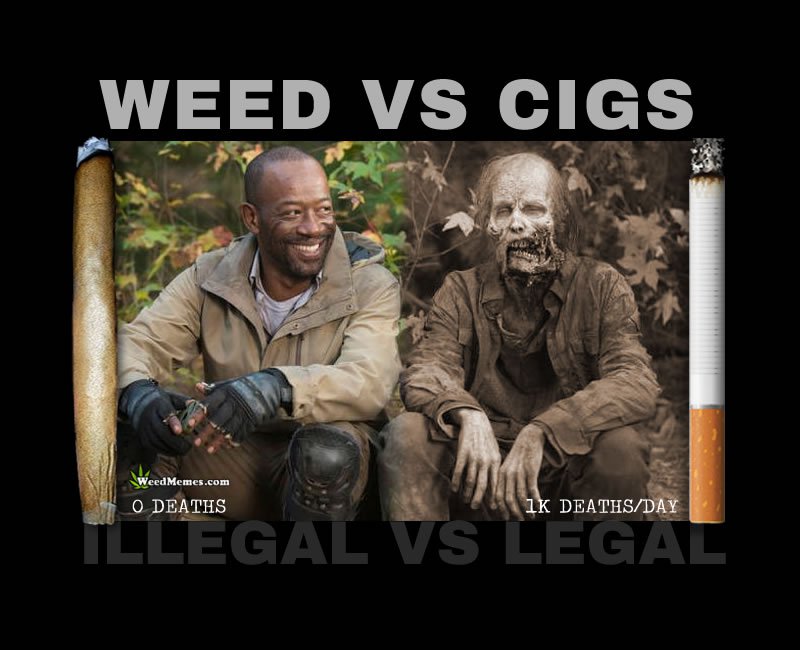 weed memes - Weed Vs Cigs Weed Memes.com O Deaths Ik DeathsDay Llegal Vs Legal