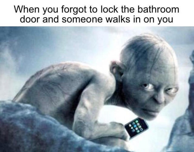 lord of the rings - When you forgot to lock the bathroom door and someone walks in on you