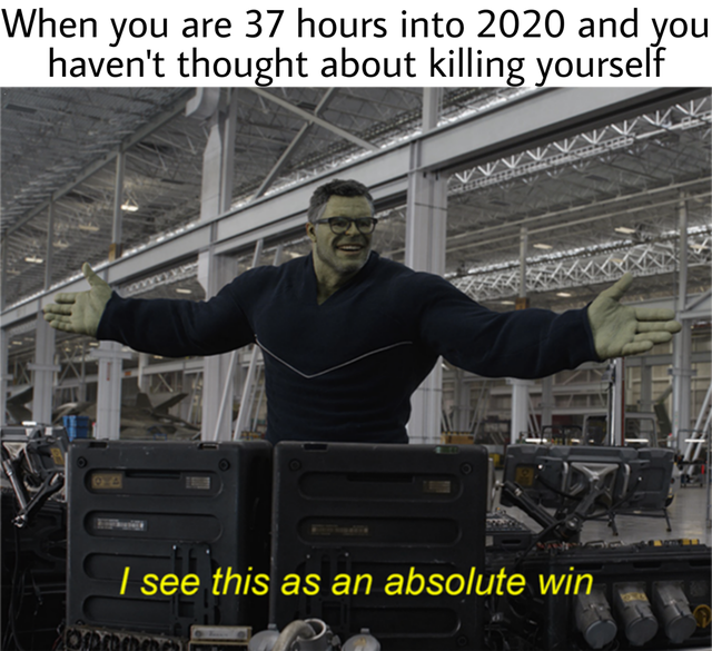 hulk dab - When you are 37 hours into 2020 and you haven't thought about killing yourself I see this as an absolute win