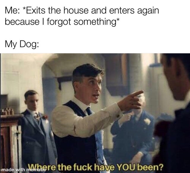 peaky blinders meme - Me Exits the house and enters again because I forgot something My Dog made with mewahere the fuck have You been?