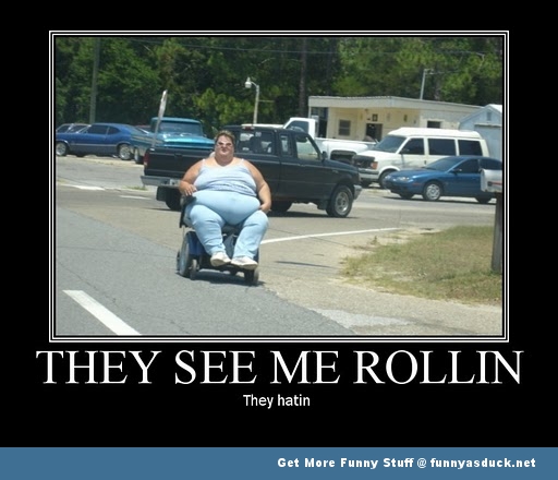 roger federer - They See Me Rollin They hatin Get More Funny Stuff .net