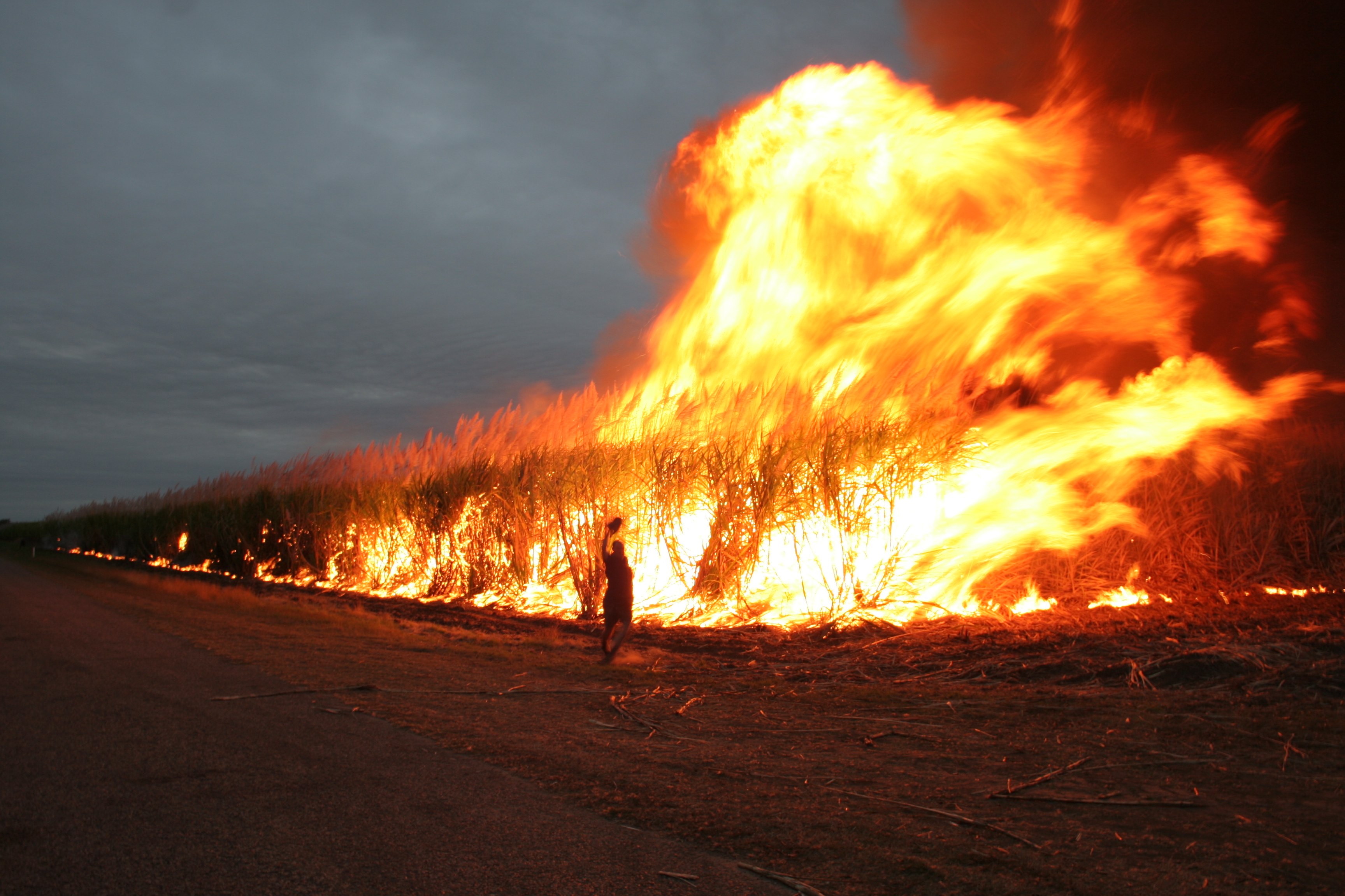 sugar cane burning