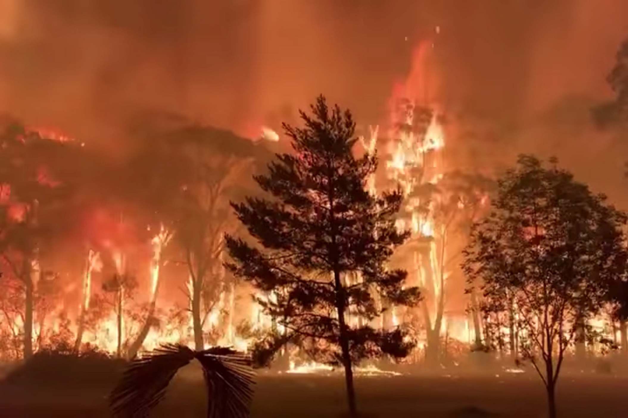 bush fires australia