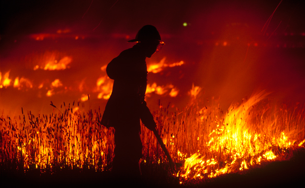 black sunday bushfires