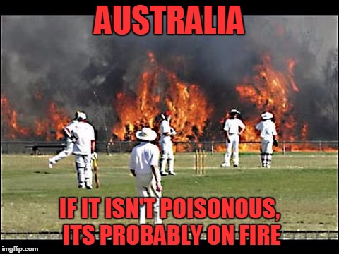 australia friends meme - Australia Ifhtisnt Poisonous, ItsProbablyOnFire imgflip.com