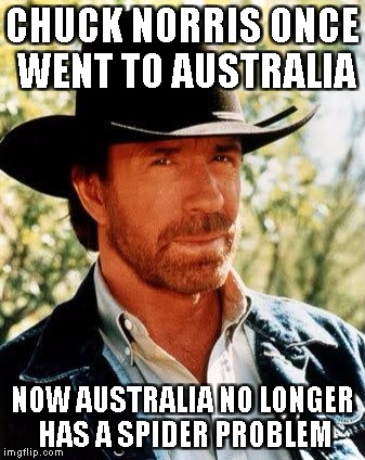 chuck norris - Chuck Norris Once Went To Australia Now Australia No Longer Has A Spider Problema