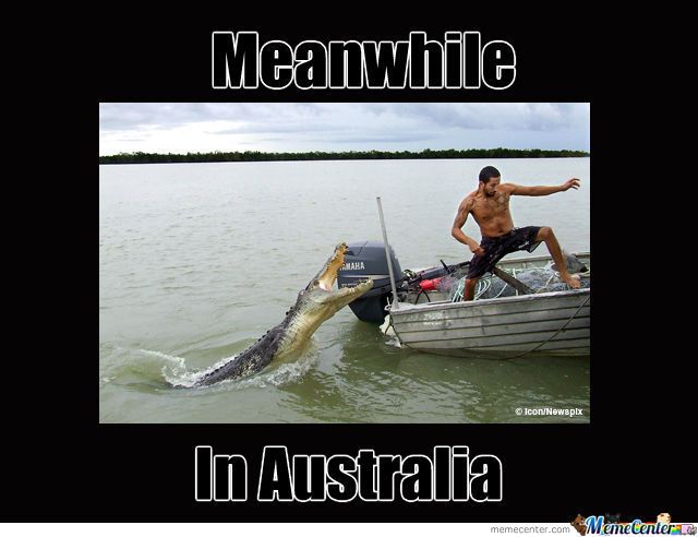 aussie memes