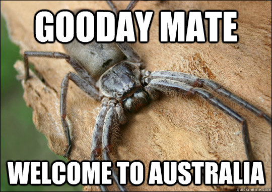 aoki's shave ice - Gooday Mate Welcome To Australia quickmeme.com