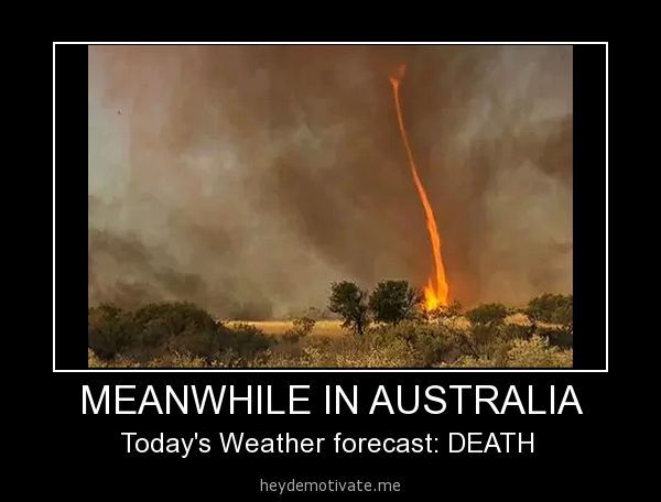australia weather meme - Meanwhile In Australia Today's Weather forecast Death, heydemotivate.me
