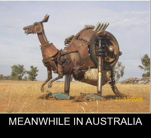 steampunk kangaroo - 21032008 Meanwhile In Australia