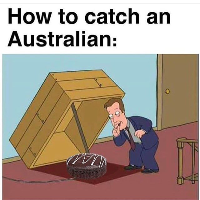 australian memes - How to catch an Australian