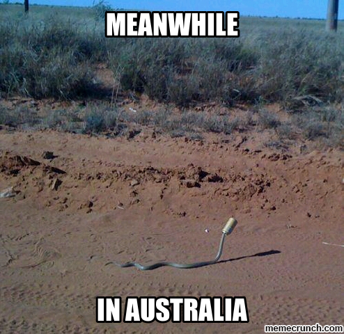 australia meme - Meanwhile In Australia memecrunch.com