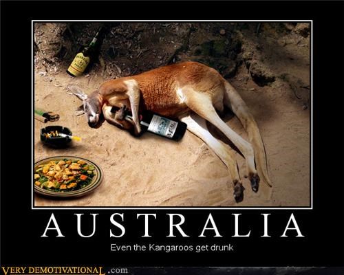 happy birthday funny kangaroo - Australia Even the Kangaroos get drunk Very Demotivational .com