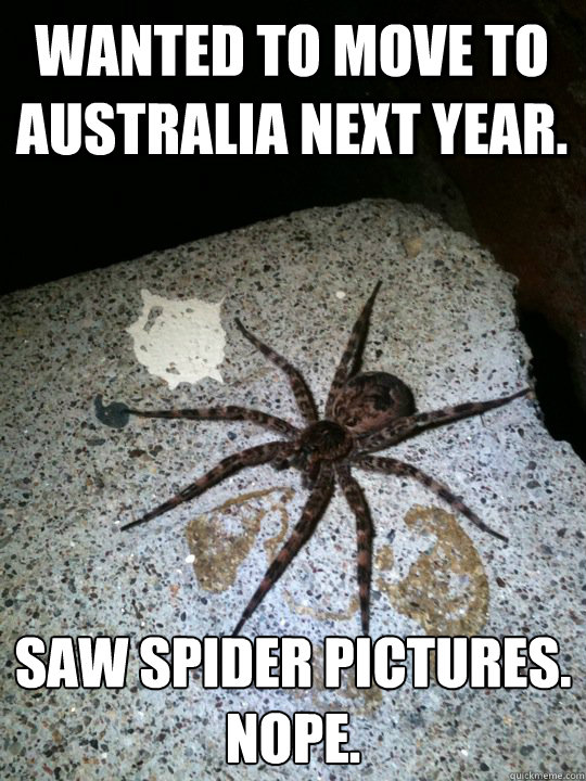 pilatus - Wanted To Move To Australia Next Year. Saw Spider Pictures. Nope. quickmeme.com
