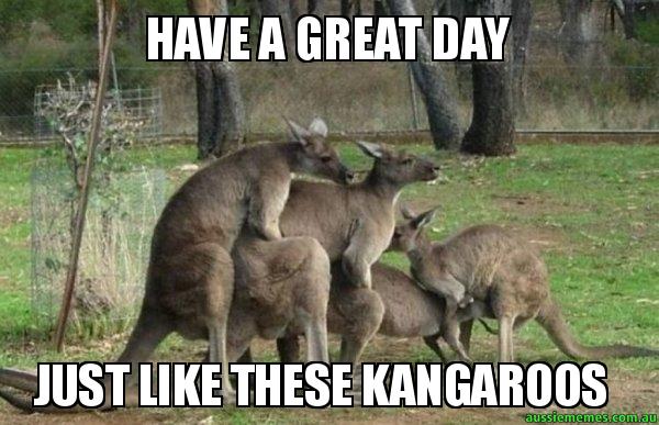 happy birthday simon funny - Have A Great Day Just These Kangaroos aussiememes.comau