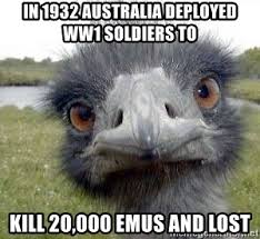 ostrich - In 1932 Australia Deployed WW1 Soldiers To Kill 20,000 Emus And Lost
