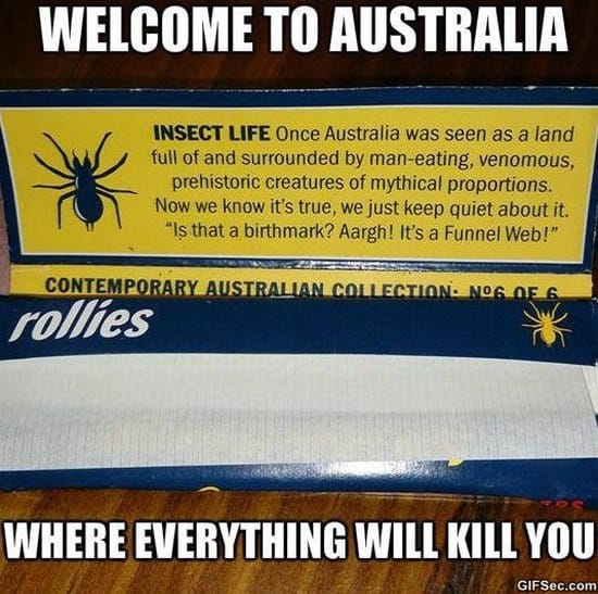 australia memes - Welcome To Australia Insect Life Once Australia was seen as a land full of and surrounded by maneating, venomous, prehistoric creatures of mythical proportions. Now we know it's true, we just keep quiet about it. "Is that a birthmark? Aa