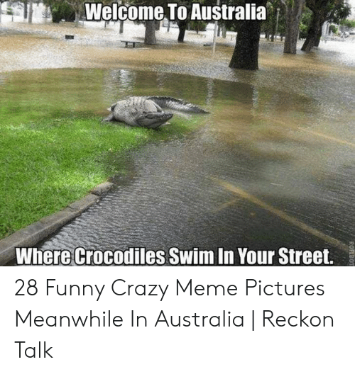 australia is scary - Welcome To Australia Where Crocodiles Swim In Your Street. 28 Funny Crazy Meme Pictures Meanwhile in Australia | Reckon Talk