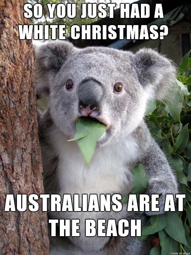 funny passover memes - So You Just Had A White Christmas? Australians Are At The Beach