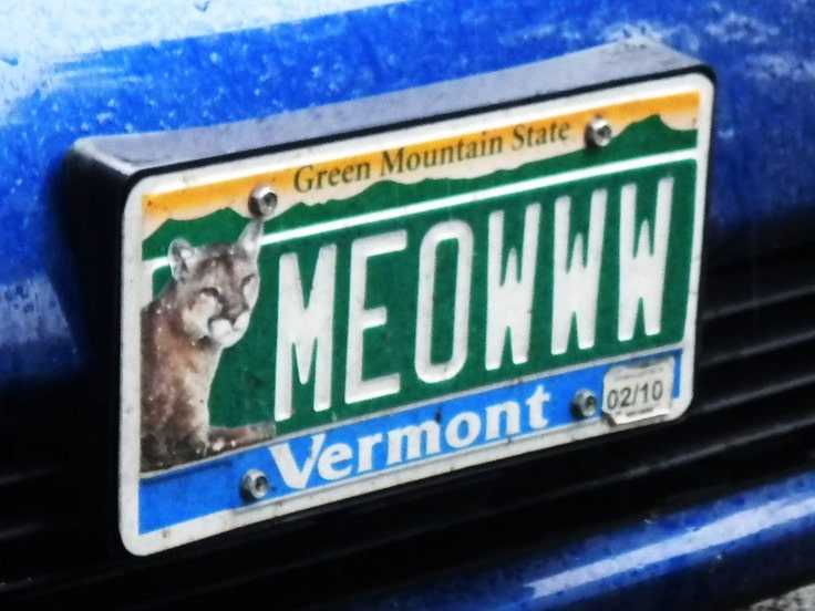 cat vanity license plates - Green Mountain State Meowth Vermont 0210