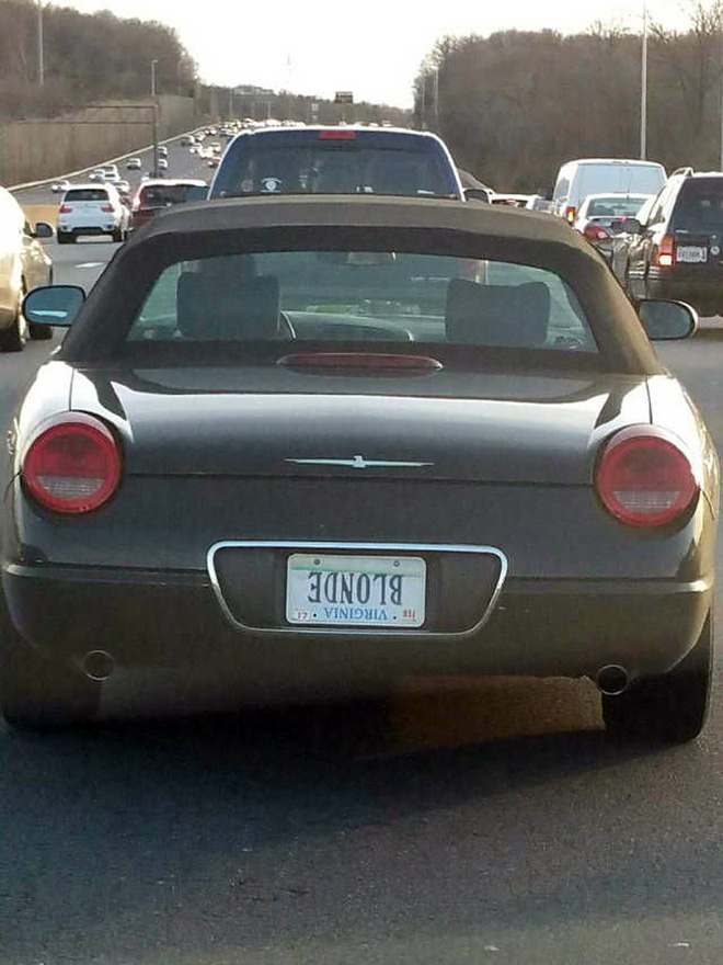 funny license plates - The Virginia 4 Blonde