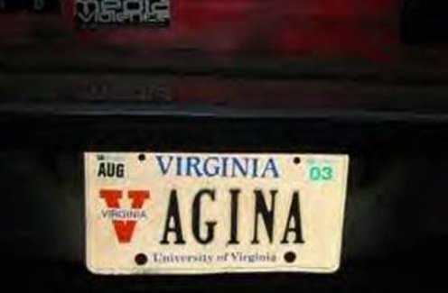 funny license plates - Aug Virginia 03 Vagina Virgola