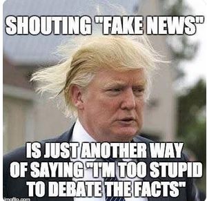 photo caption - Shouting Fake News" Is Just Another Way Of Saying Tm Too Stupid To Debate The Facts"