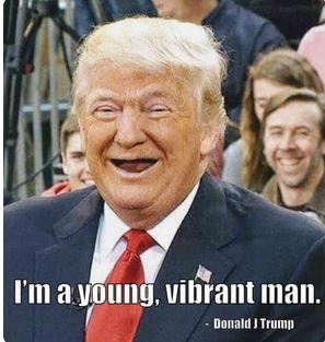 trailer park trump supporters - I'm a young, vibrant man. Donald Trump