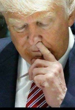 trump picking his nose