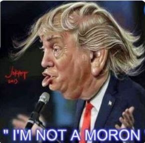 virtue is its own reward - "I'M Not A Moron