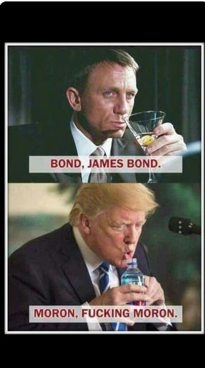 james bond meme - Bond, James Bond Moron, Fucking Moron.