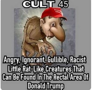 photo caption - Cult 45 Angry, Ignorant, Gullible, Racist Little Rat Creatures That Can Be Found In The Rectal Area Of Donald Trump