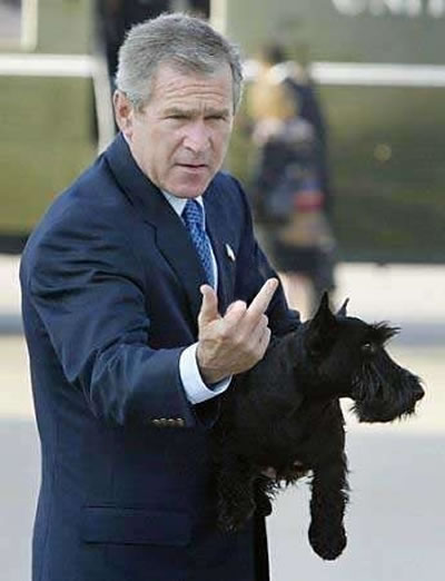 the many faces and personalities of our george bush