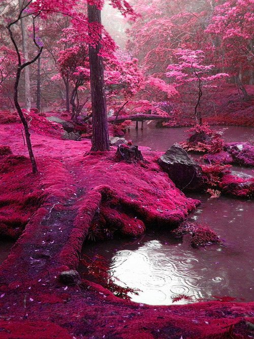 bridges park ireland