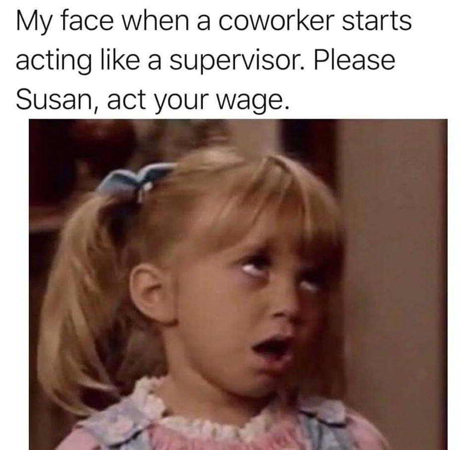 relatable work memes - My face when a coworker starts acting a supervisor. Please Susan, act your wage.
