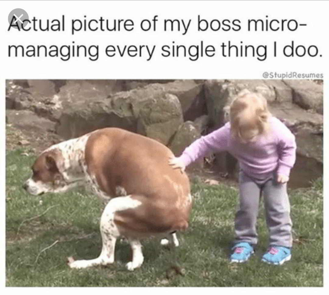 micromanaging memes - Actual picture of my boss micro managing every single thing I doo.