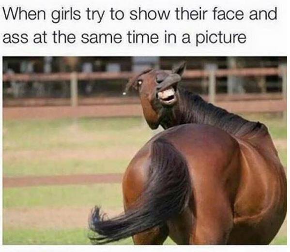 funny memes about girls - When girls try to show their face and ass at the same time in a picture