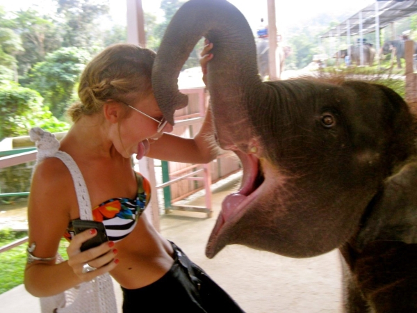 baby elephant and girl