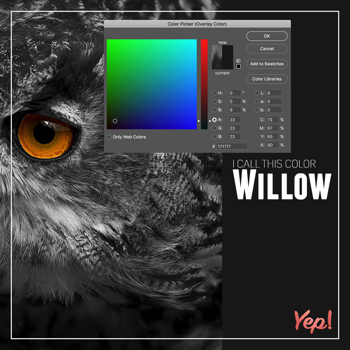 animal avian beak - Color Bicker Overlay Color Ok Cancel Add to Swelches current Color Libraries Lb Soco Or 23 C3 X 23 Mb 23 Yog 17110 Only Web Color I Call This Color Willow Yep!