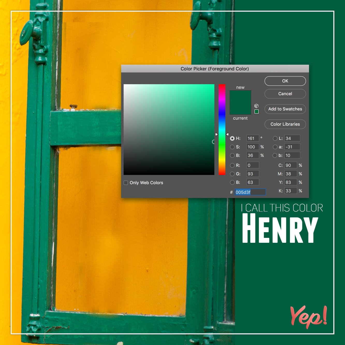software - Color Picker Foreground Color Ok Cancel Swatches Color Libraries Oh 161 S 900 % 36N | | B 93 L 34 31 10 1 C B M3 Only Web Calon 3003 K 33 I Call This Color Henry Yep!