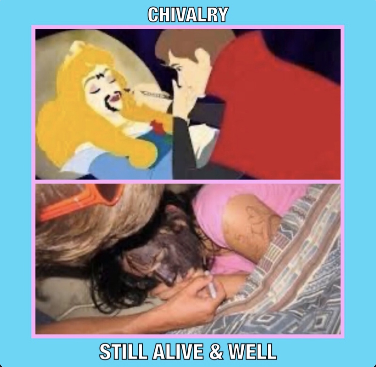 sleeping beauty funny meme - Chivalry Still Alive & Well