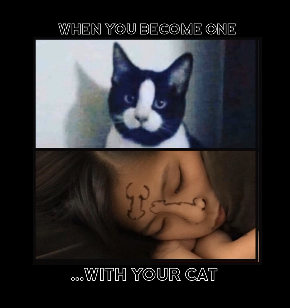 photo caption - When You Become One ...With Your Cat