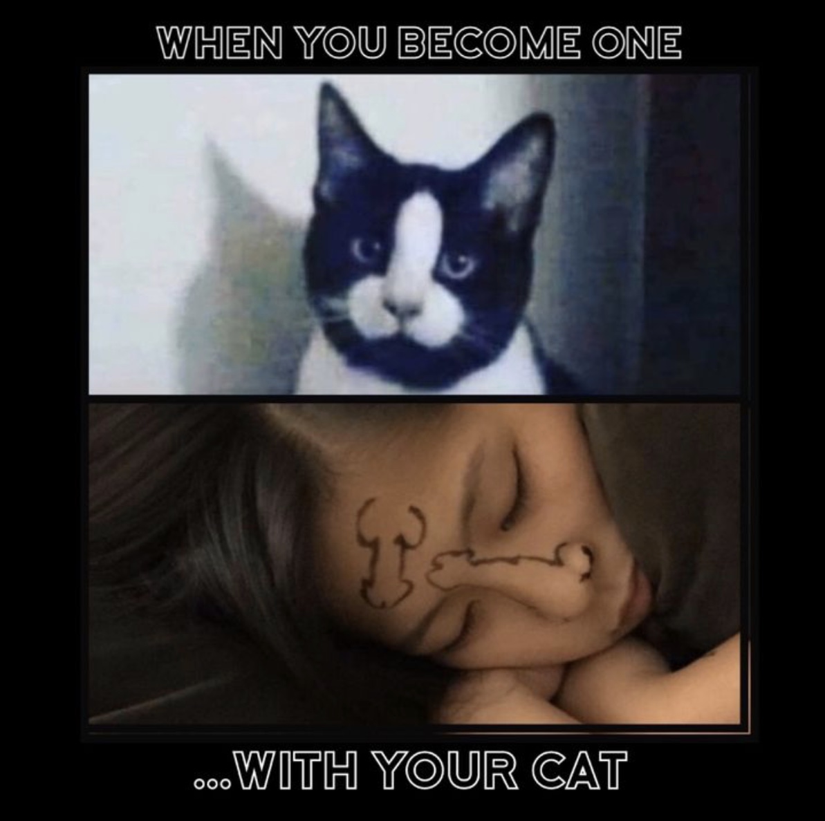 what's your cat's name dick face - When You Become One ... With Your Cat