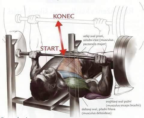 22 pic of muscles growth